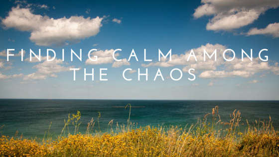 Finding-Calm-Among-The-Chaos1